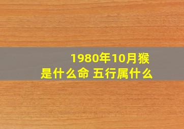 1980年10月猴是什么命 五行属什么